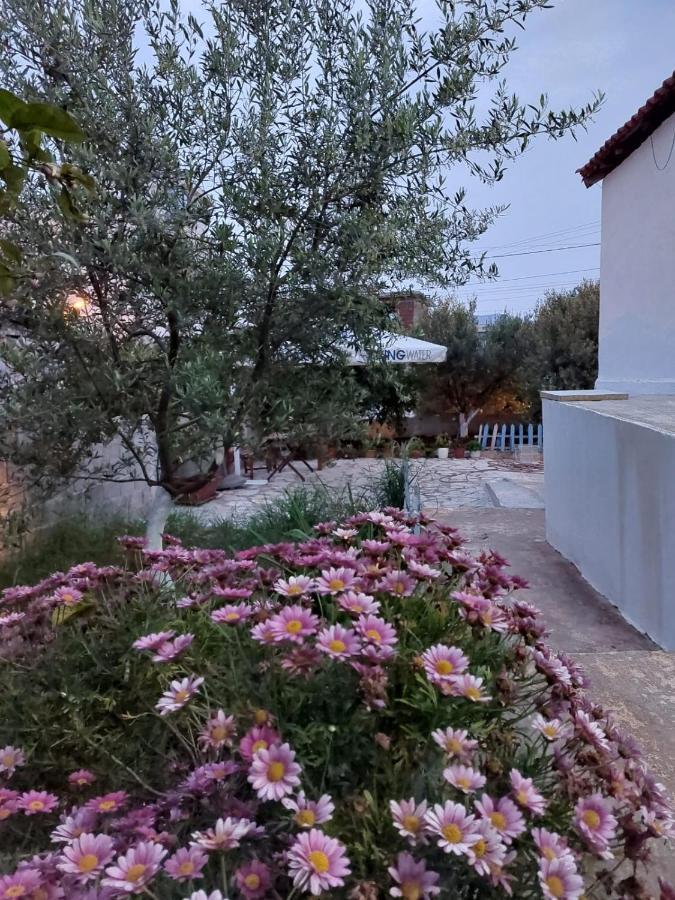 Vila Rafael Ksamil Exterior photo